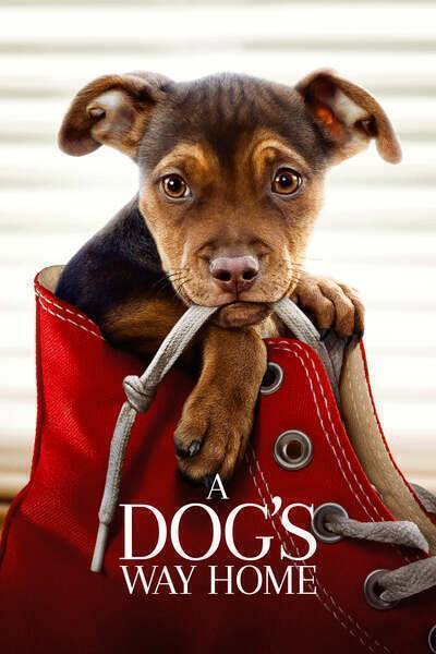 A Dog's Way Home (2019) poster - Allmovieland.com