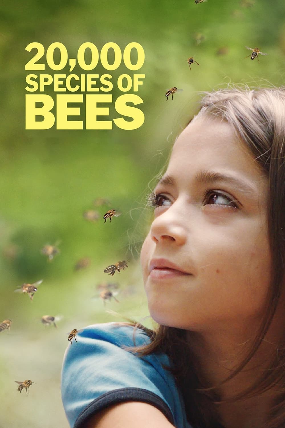 20,000 Species of Bees (2023) poster - Allmovieland.com