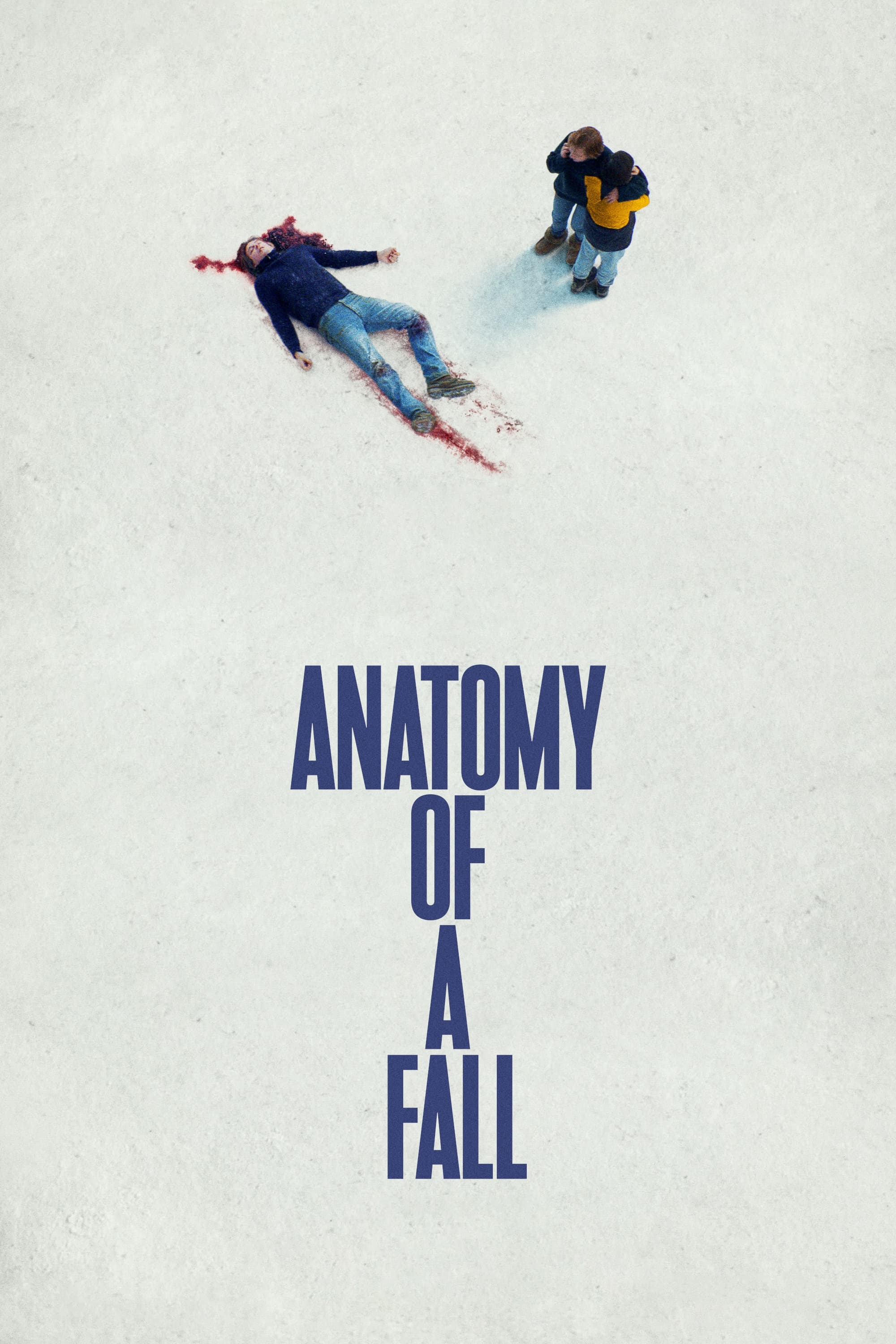 Anatomy of a Fall (2023) poster - Allmovieland.com