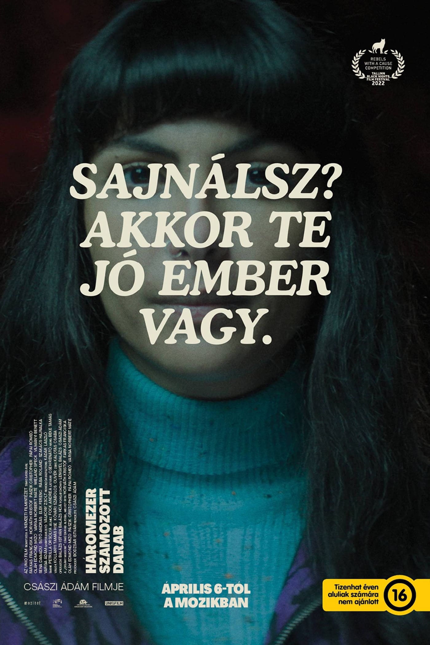 Three Thousand Numbered Pieces (2023) poster - Allmovieland.com