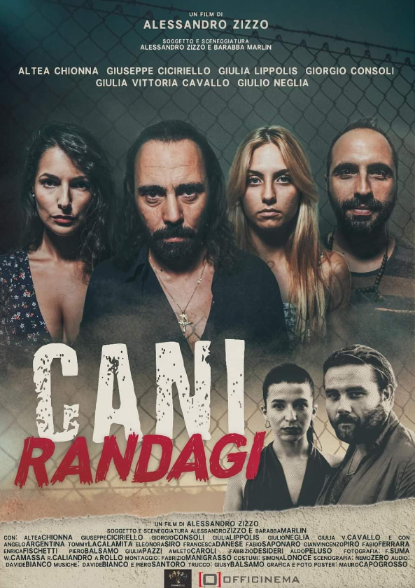 Cani randagi (2024) poster - Allmovieland.com