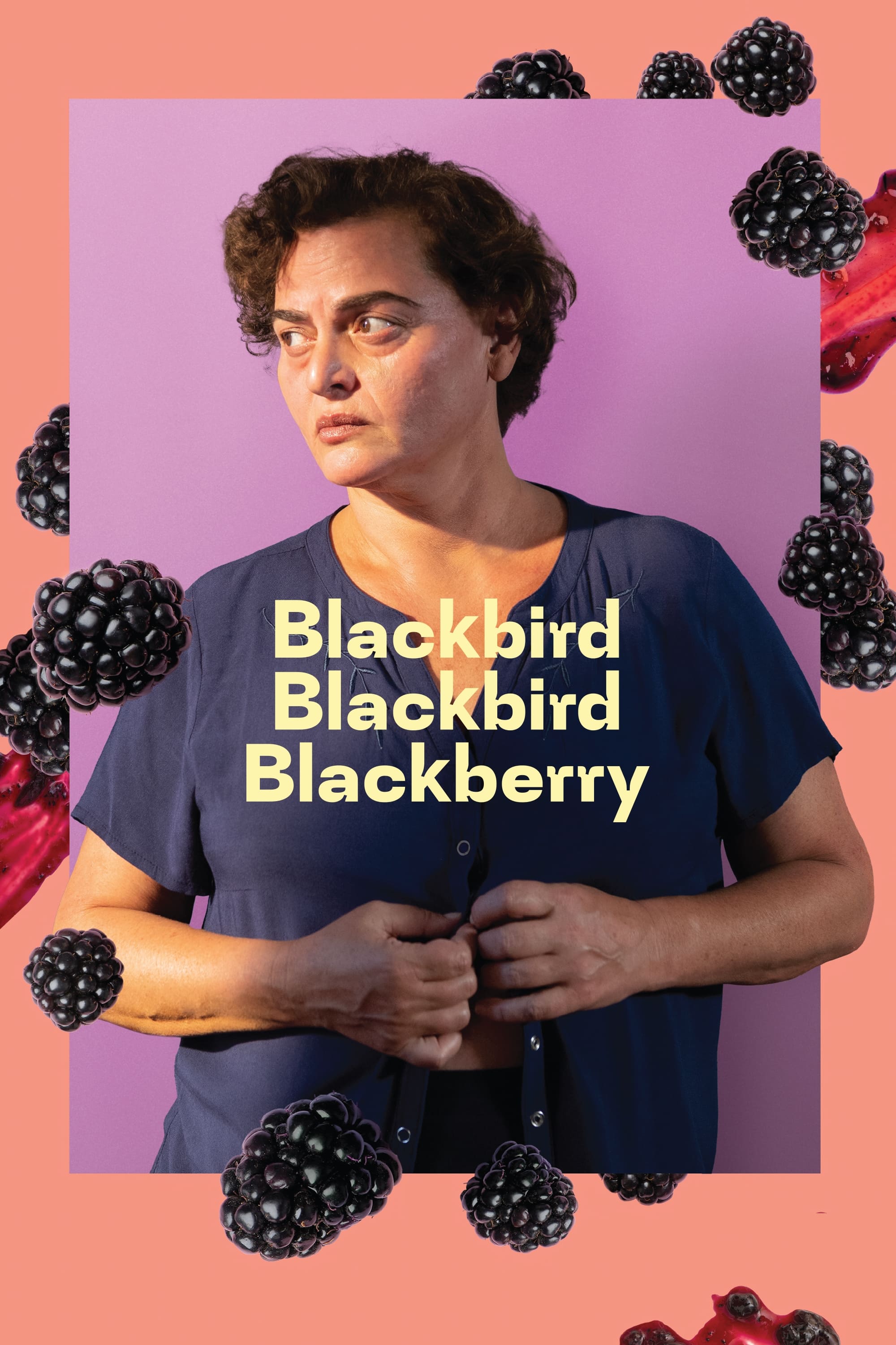 Blackbird Blackbird Blackberry (2023) poster - Allmovieland.com
