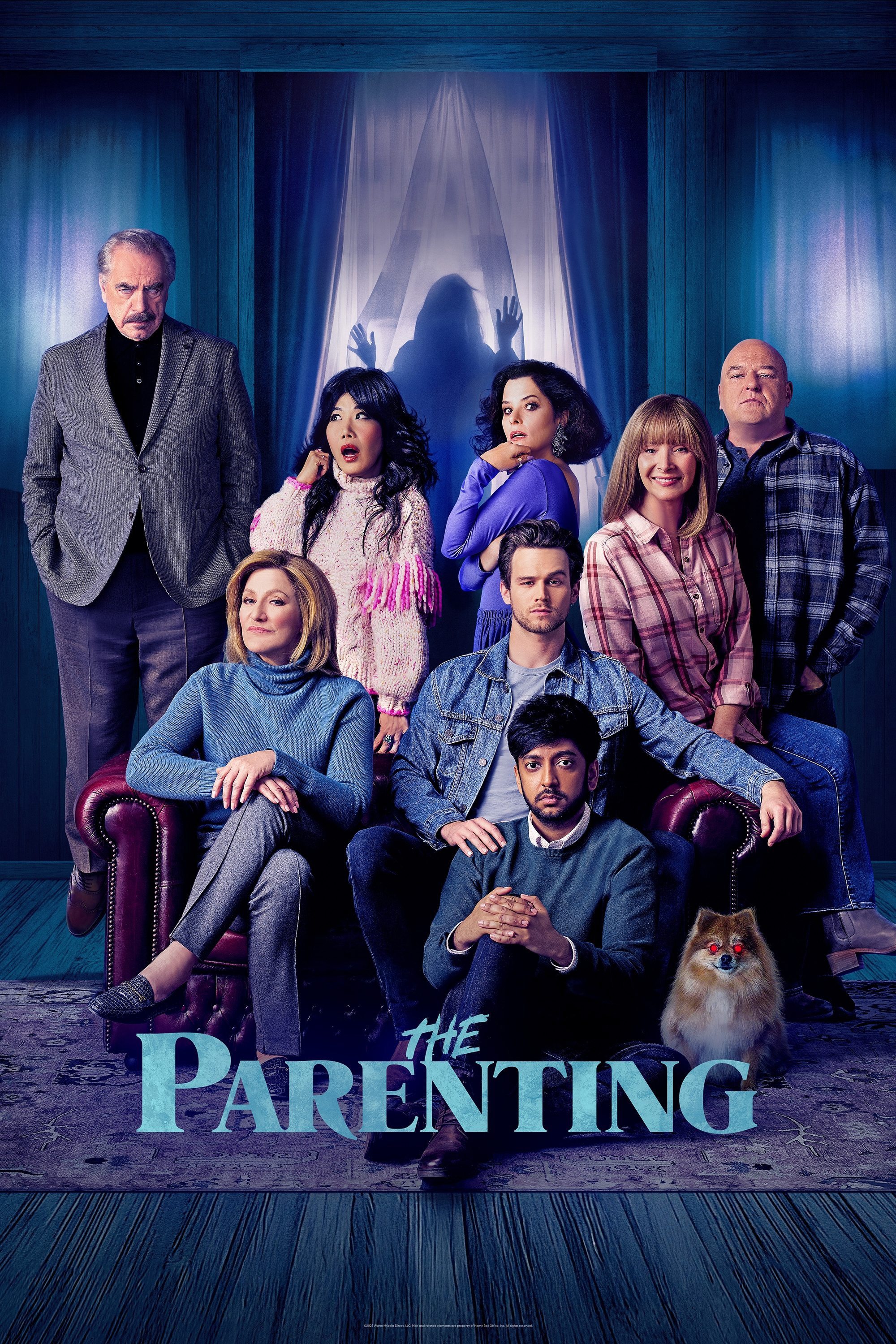 The Parenting (2025) poster - Allmovieland.com
