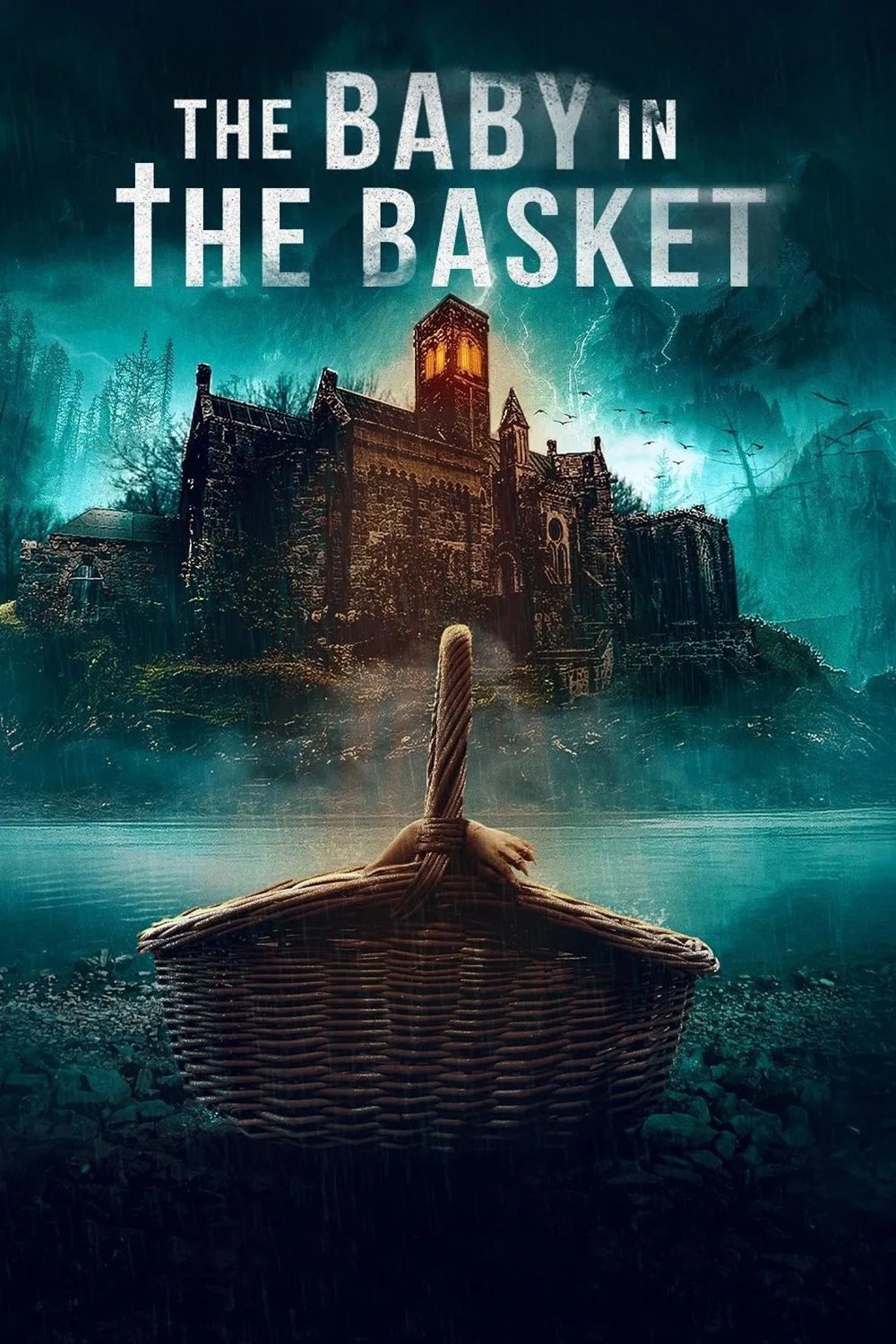 The Baby in the Basket (2025) poster - Allmovieland.com
