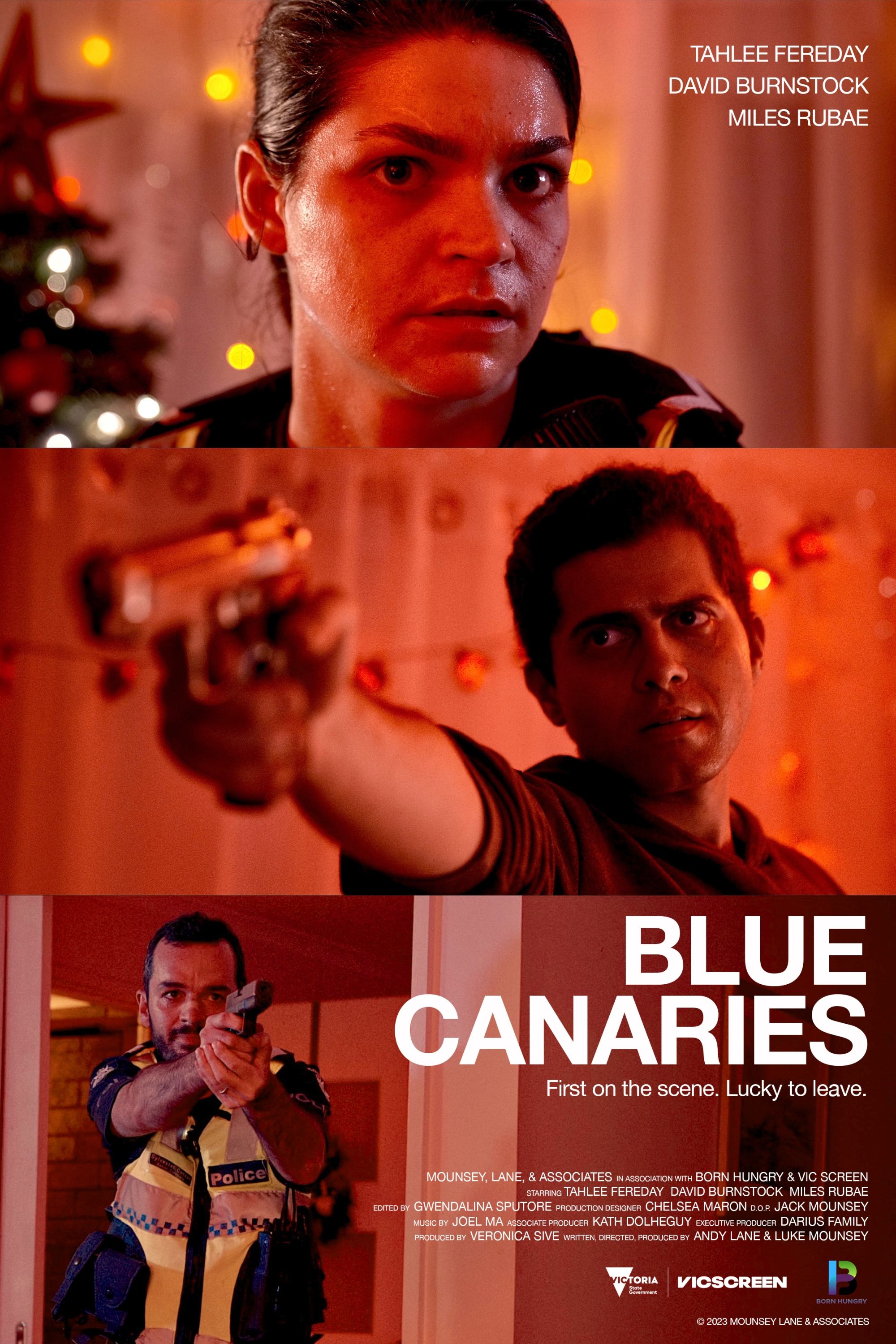 Blue Canaries (2023) poster - Allmovieland.com