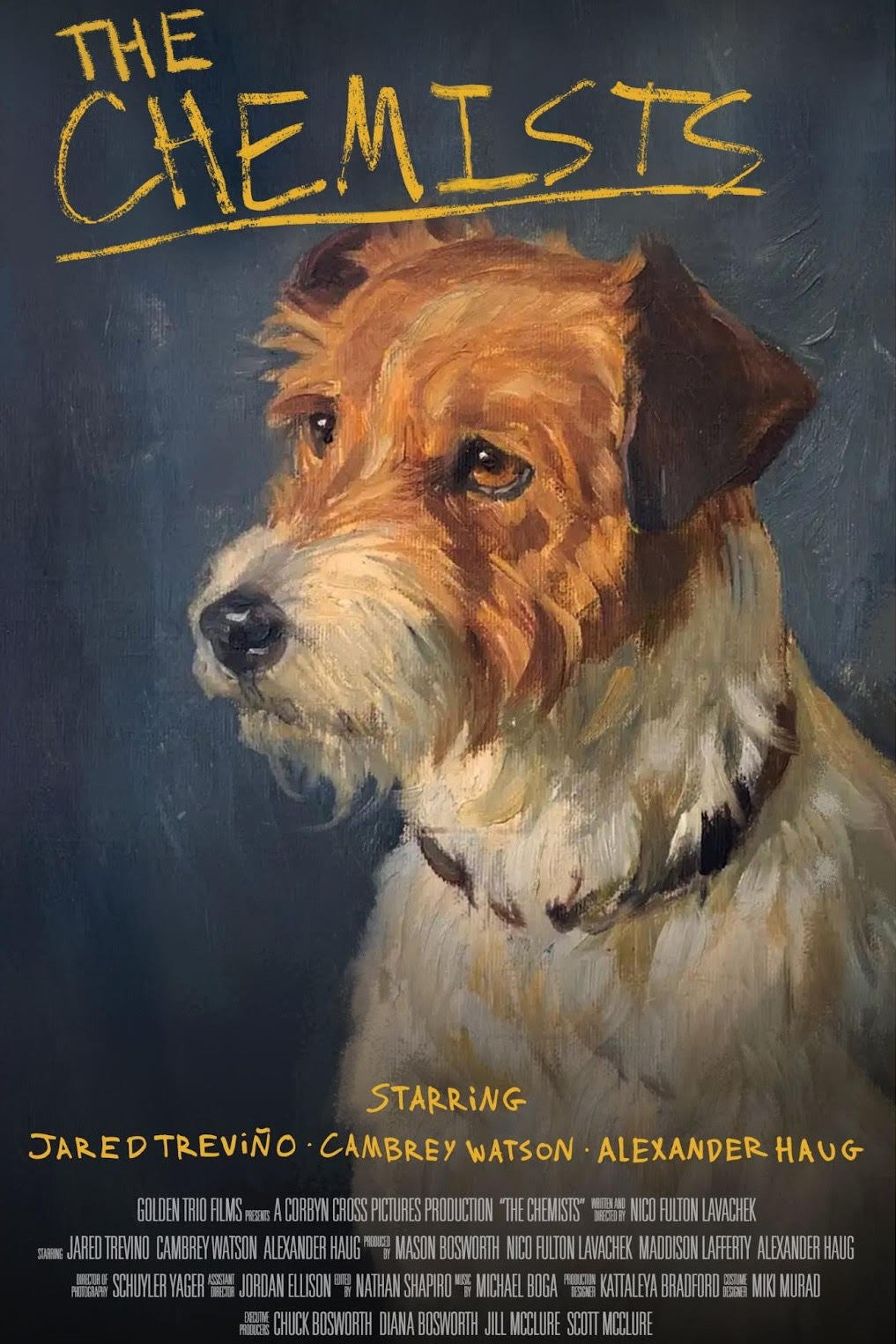 The Chemists (2025) poster - Allmovieland.com