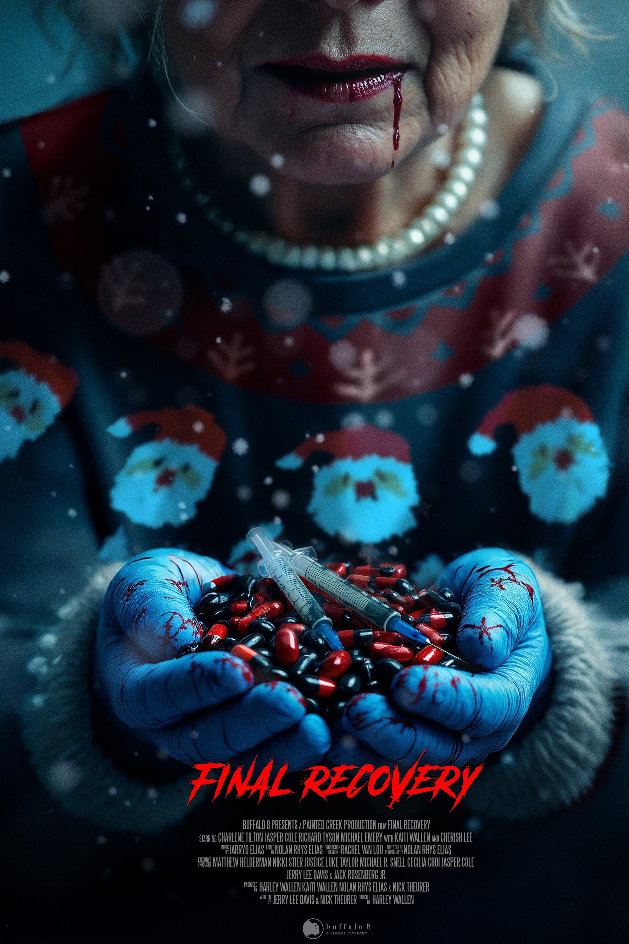 Final Recovery (2024) poster - Allmovieland.com
