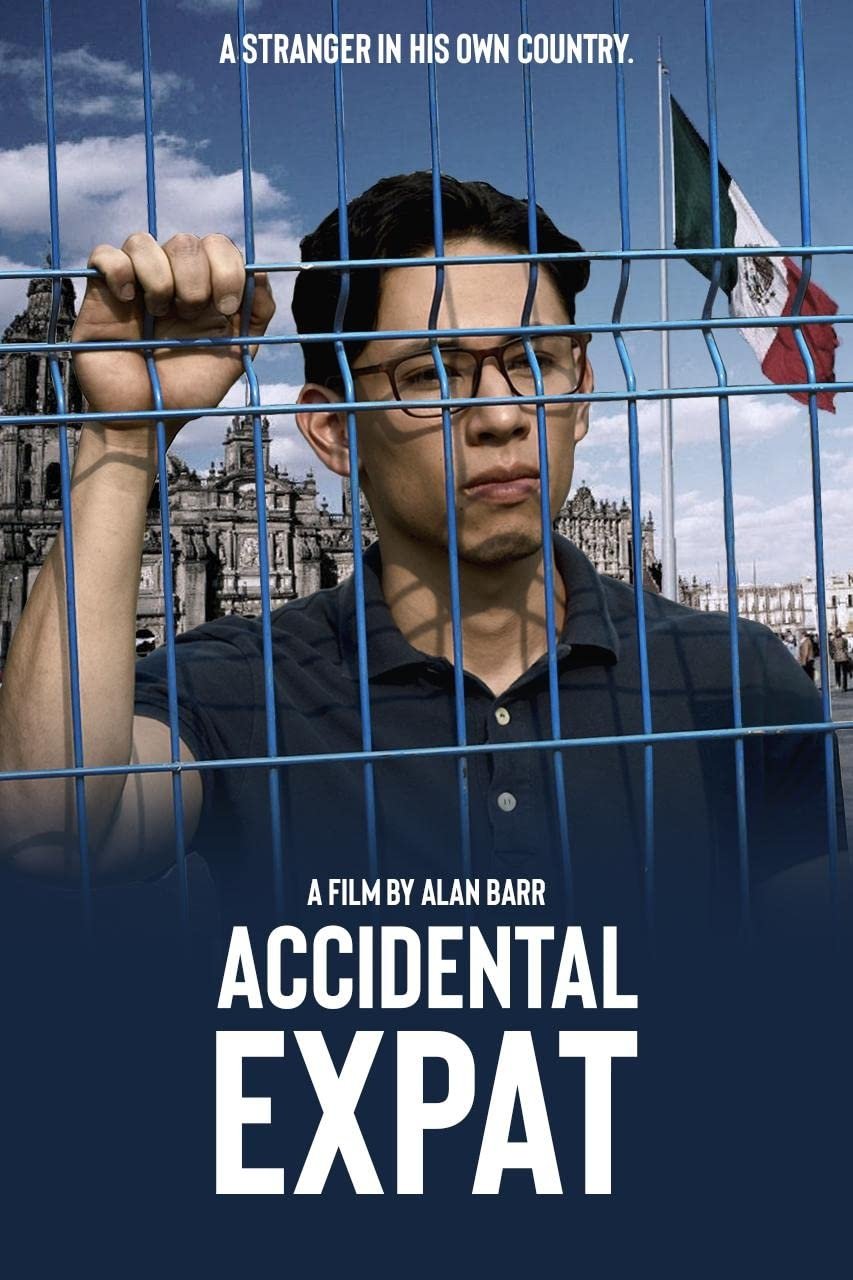 Accidental Expat (2024) poster - Allmovieland.com