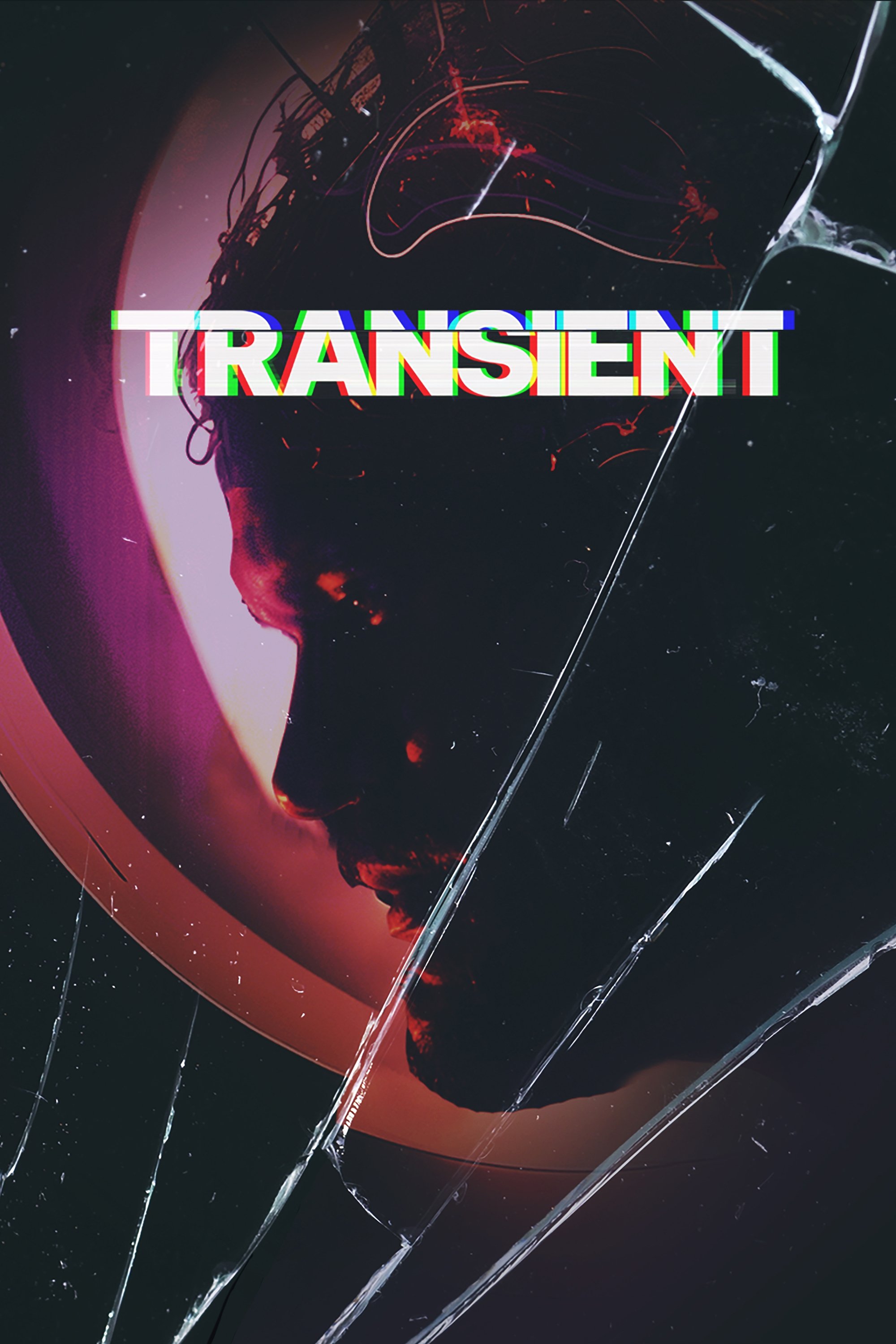 Transient (2024) poster - Allmovieland.com